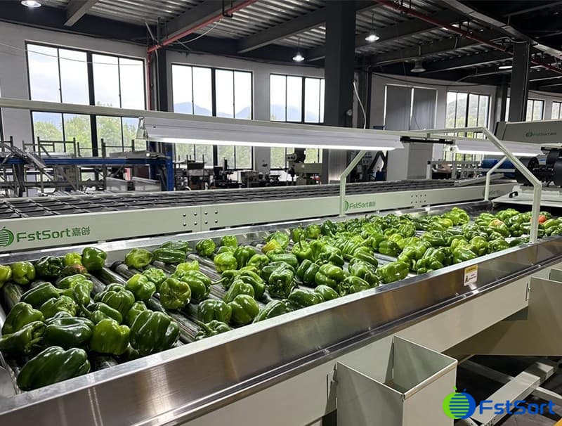 images/1701157940510pimientos dulces.jpg